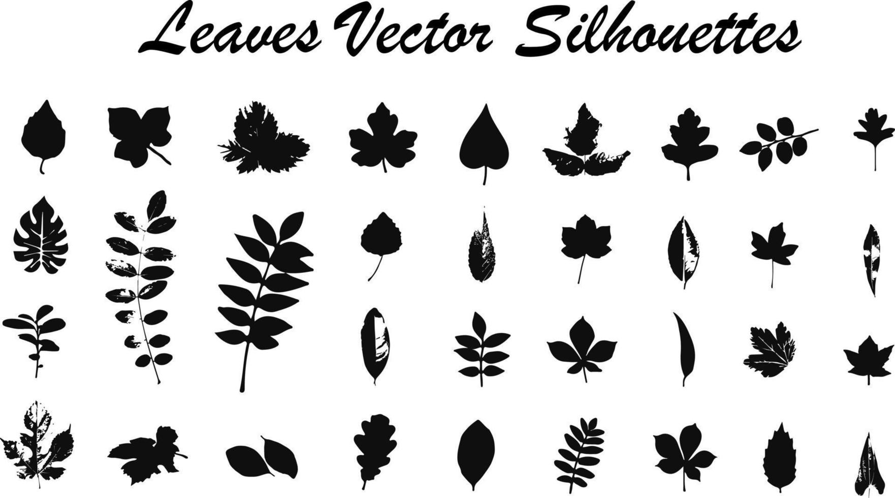 Set of tree branches, eucalyptus, palm leaves, herbs and flowers silhouettes - vector set collection