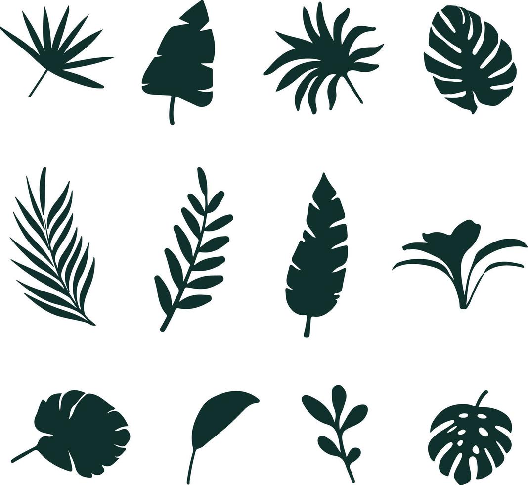 Set of tropical leaf vector silhouettes. Monochrome exotic forest philodendron leaf, palm areca, king fern, banana leaf. Illustration for summer tropical paradise holiday advertising design.