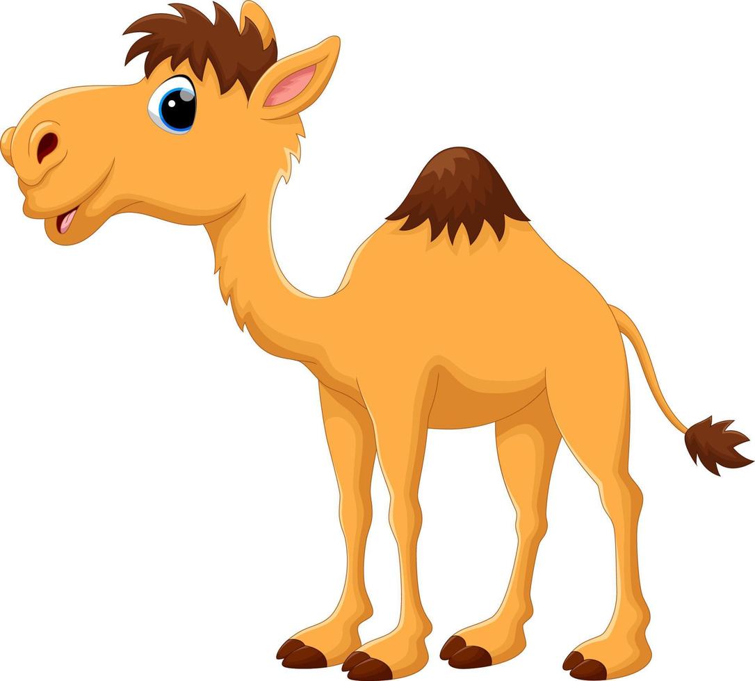Cute camel cartoon on white background vector