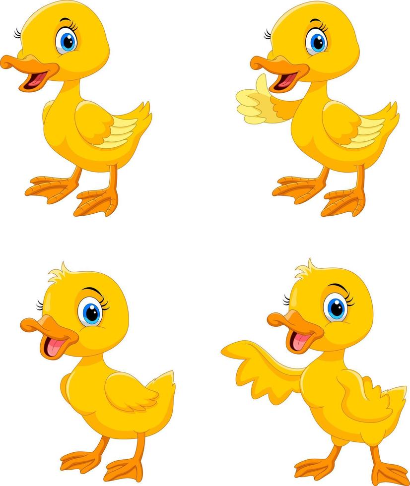 lindo conjunto de dibujos animados de patos amarillos vector