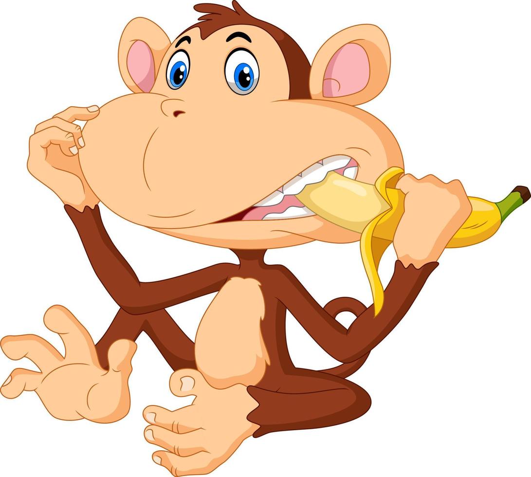 Cute monkey cartoon eat banana vector