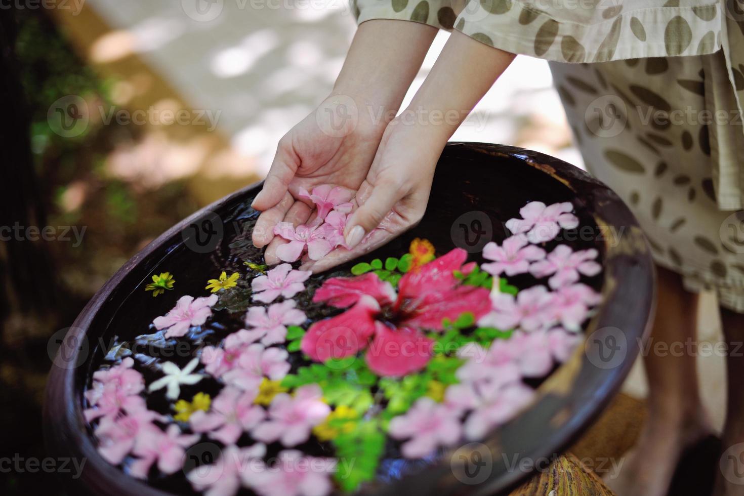 female hand and flower in water photo