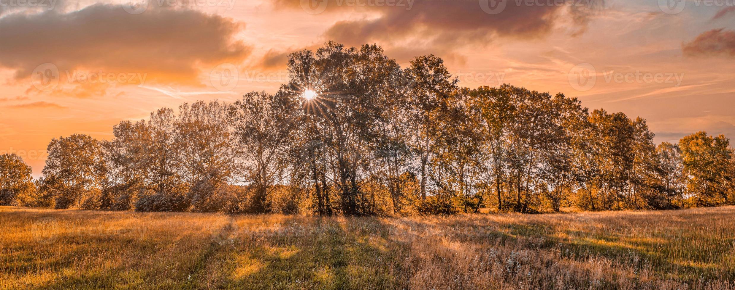 Colorful autumn sunrise on meadow. Panoramic nature landscape, soft pastel colors, dream nature, sunset autumnal background. Forest field, closeup golden grass meadow. Peaceful amazing nature panorama photo