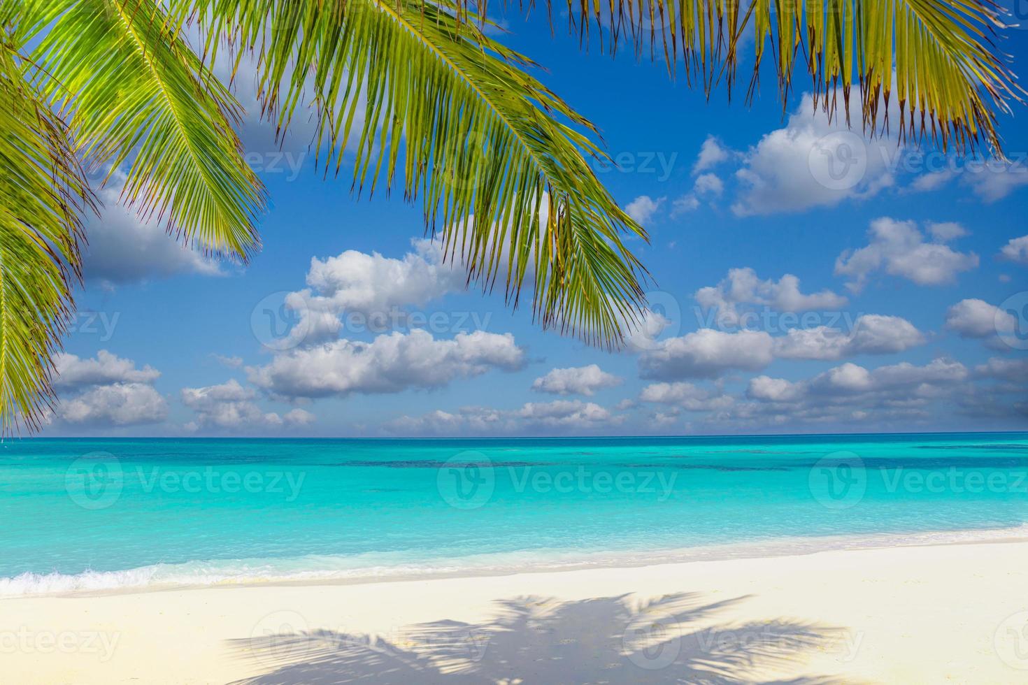 palmeras de fondo de playa de verano contra panorama de banner de cielo azul, destino de viaje tropical. arena blanca, paisaje exótico del mar azul, increíble fondo de verano foto