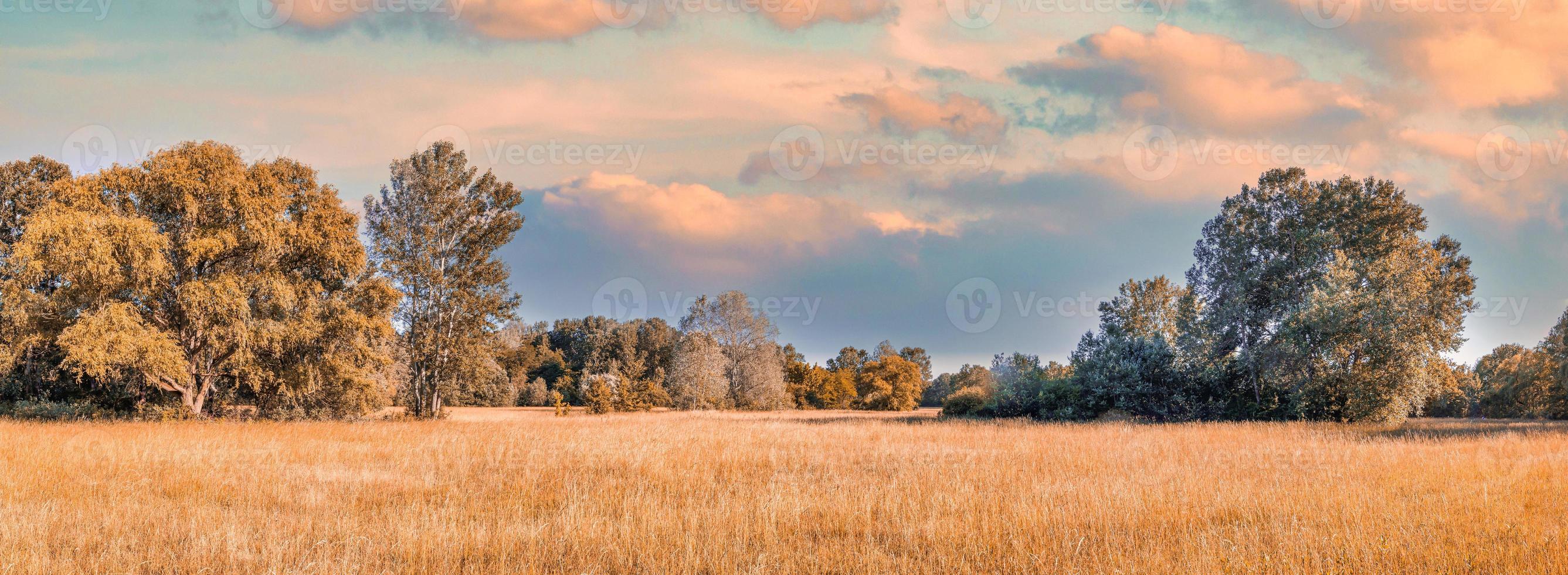 Colorful autumn sunrise on meadow. Panoramic nature landscape, soft pastel colors, dream nature, sunset autumnal background. Forest field, closeup golden grass meadow. Peaceful amazing nature panorama photo