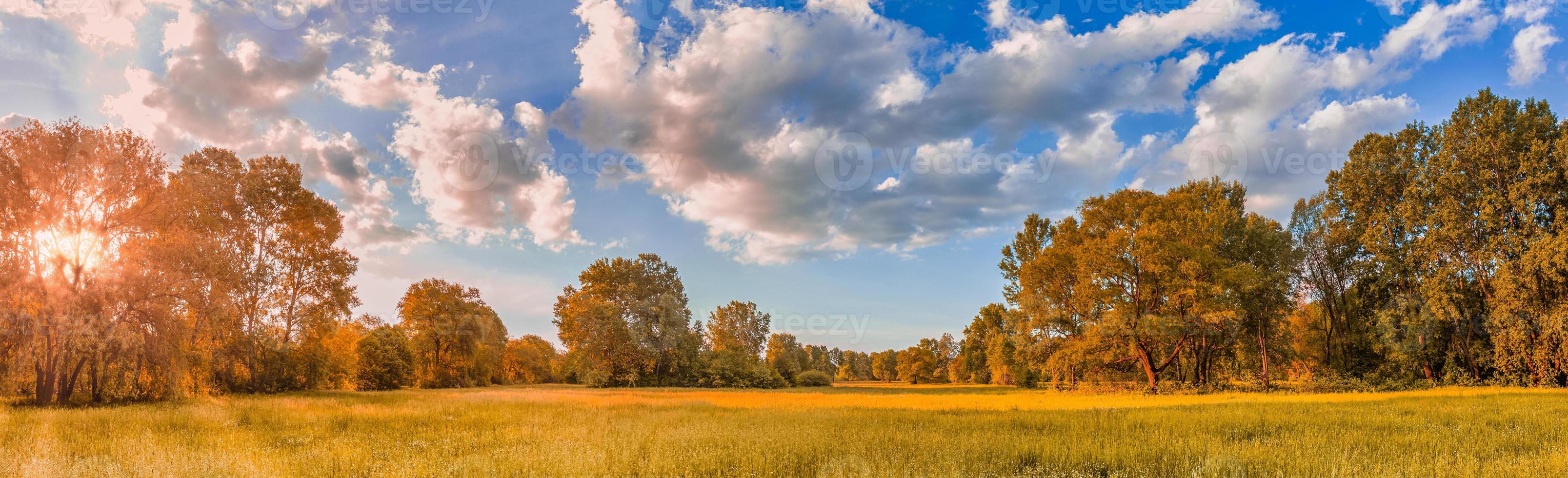 Colorful autumn sunrise on meadow. Panoramic nature landscape, soft pastel colors, dream nature, sunset autumnal background. Forest field, closeup golden grass meadow. Peaceful amazing nature panorama photo