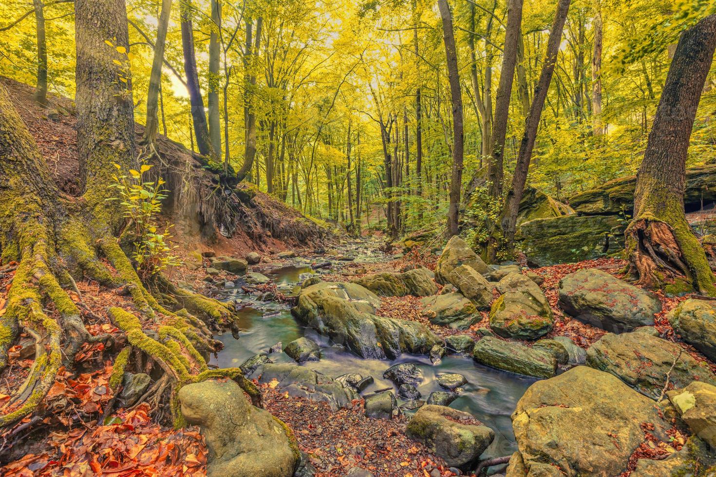 Autumn creek woodland with sunny yellow trees foliage rocks in forest mountain. Idyllic travel  hiking landscape, beautiful seasonal autumn nature. Amazing dream scenic colorful outdoor inspire nature photo