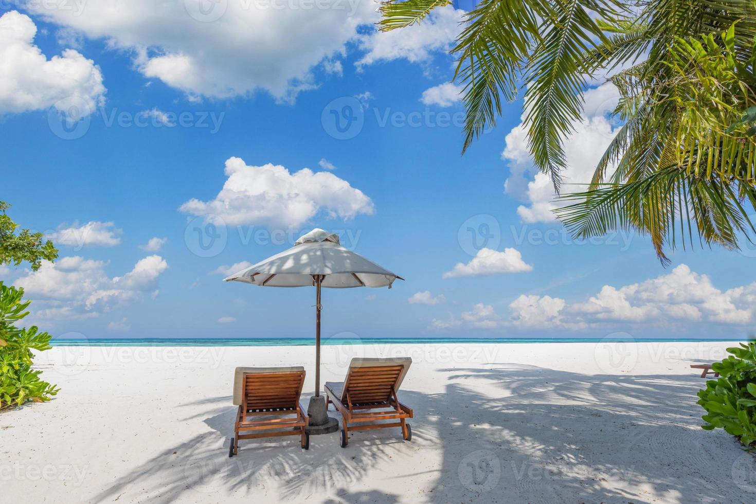 Tropical beach nature as summer landscape with lounge chairs and palm trees and calm sea for beach banner. Luxurious travel landscape, beautiful destination for vacation or holiday. Beach scene photo