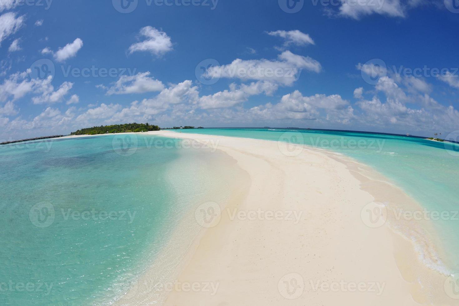 tropical beach landscape photo