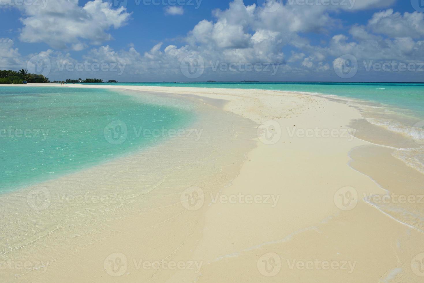 tropical beach landscape photo