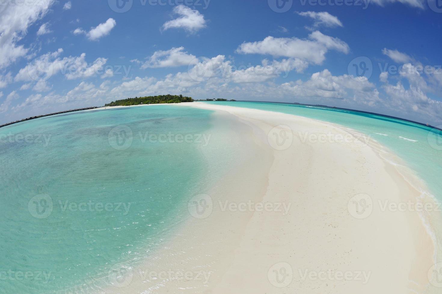 tropical beach landscape photo