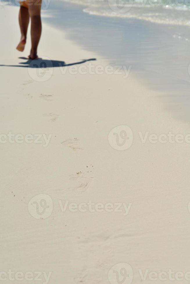 tropical beach landscape photo