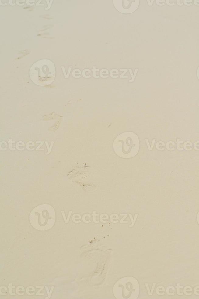 footsteps on beach photo