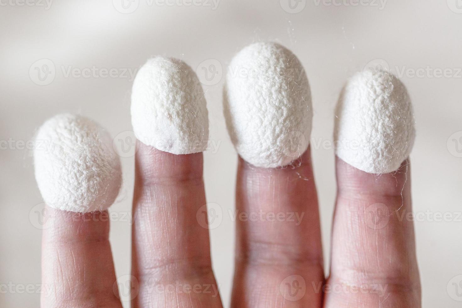 organic silk cocoons dressed on fingertips photo