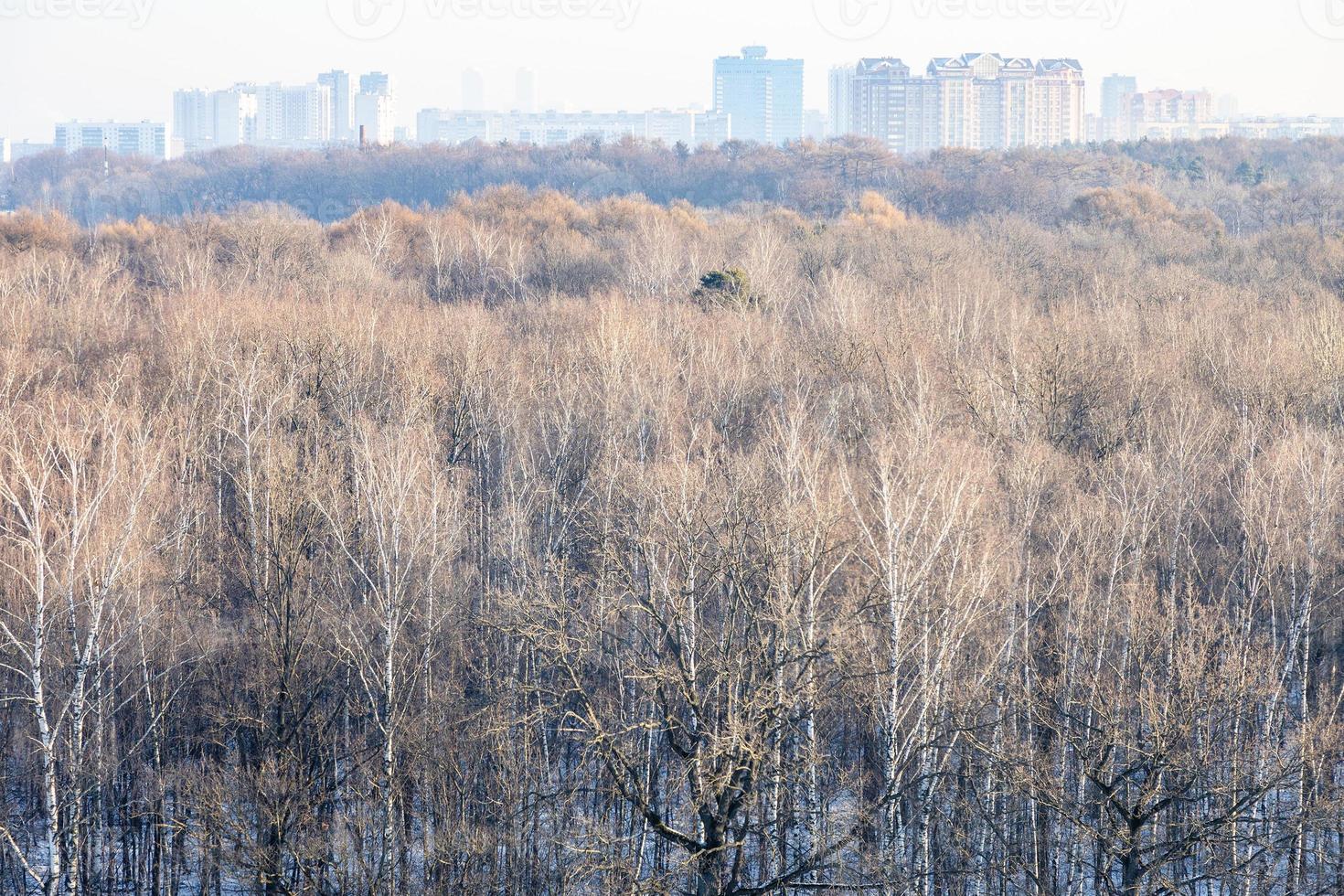 above view of urban park in cold winter morning photo