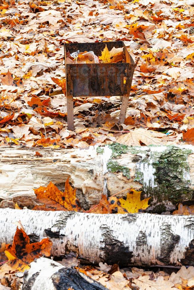 little grill on meadow covered by fallen leaves photo