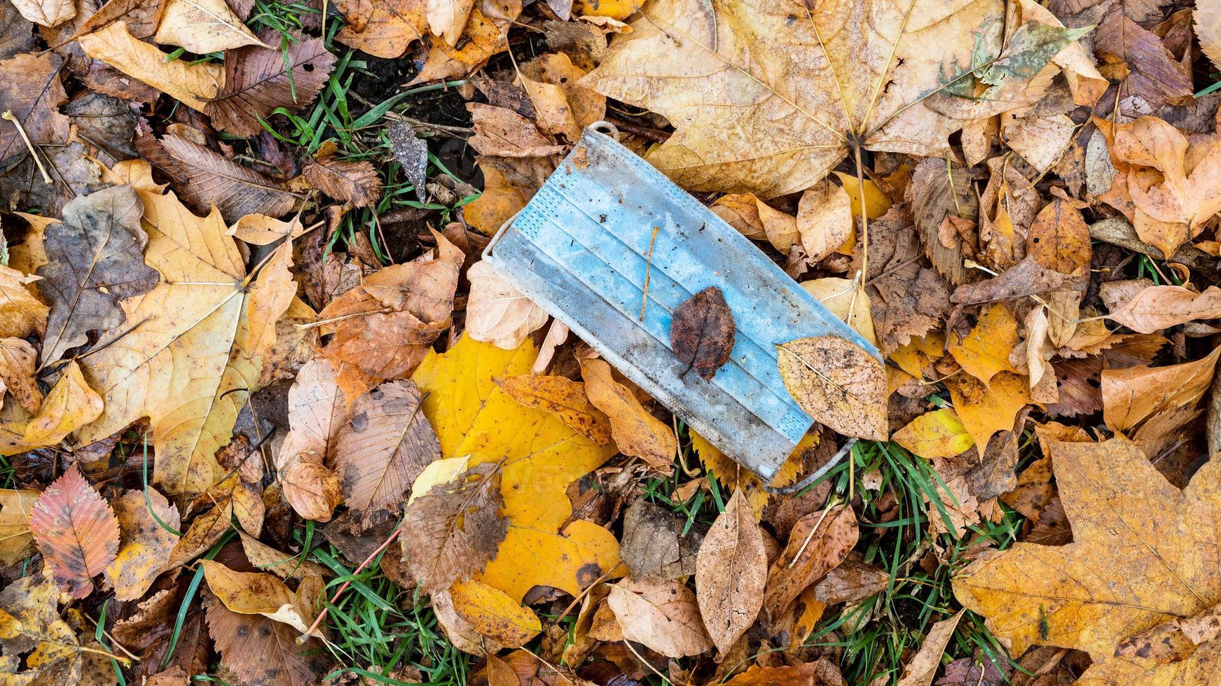 panoramic view of face mask in wet fallen leaves photo