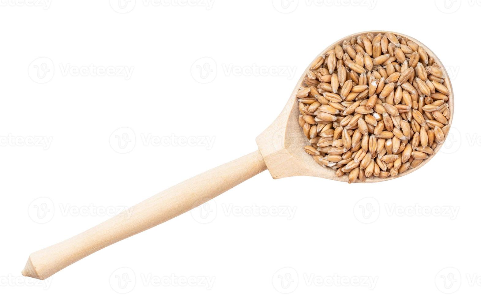 vista superior de granos de trigo espelta en cuchara de madera foto