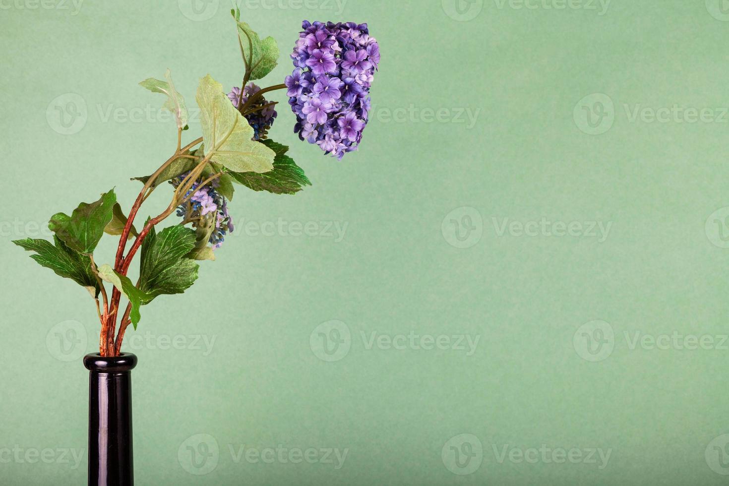 artificial flower in bottle on olive background 10760824 Stock Photo at