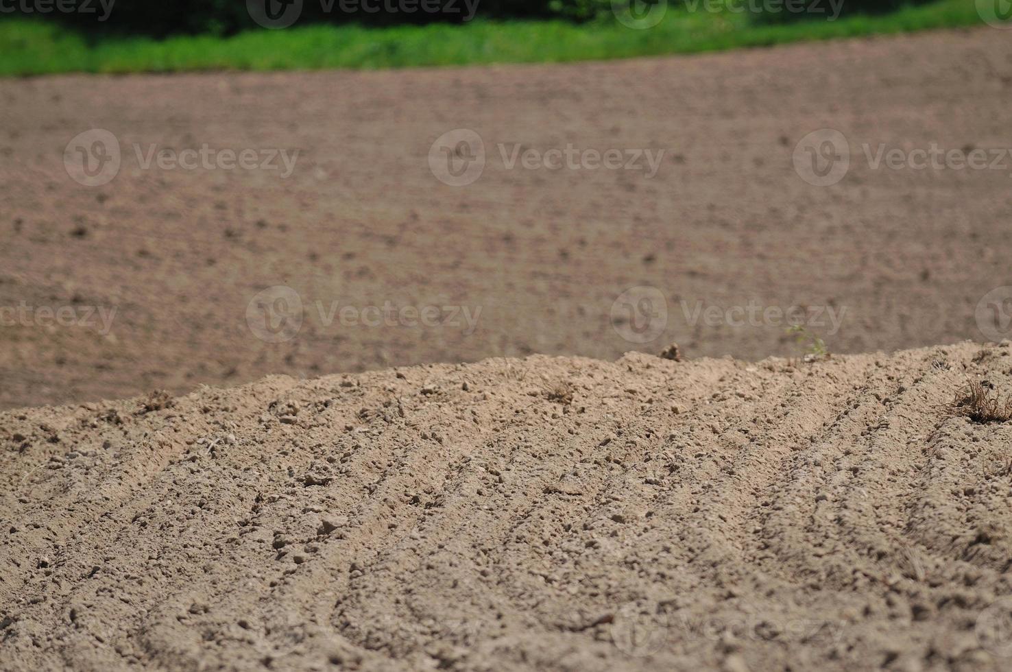 rural field farming photo