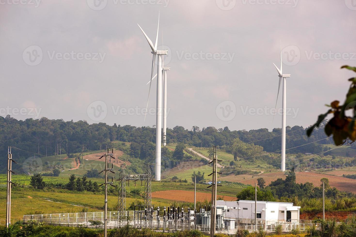 wind turbine farm on hill photo