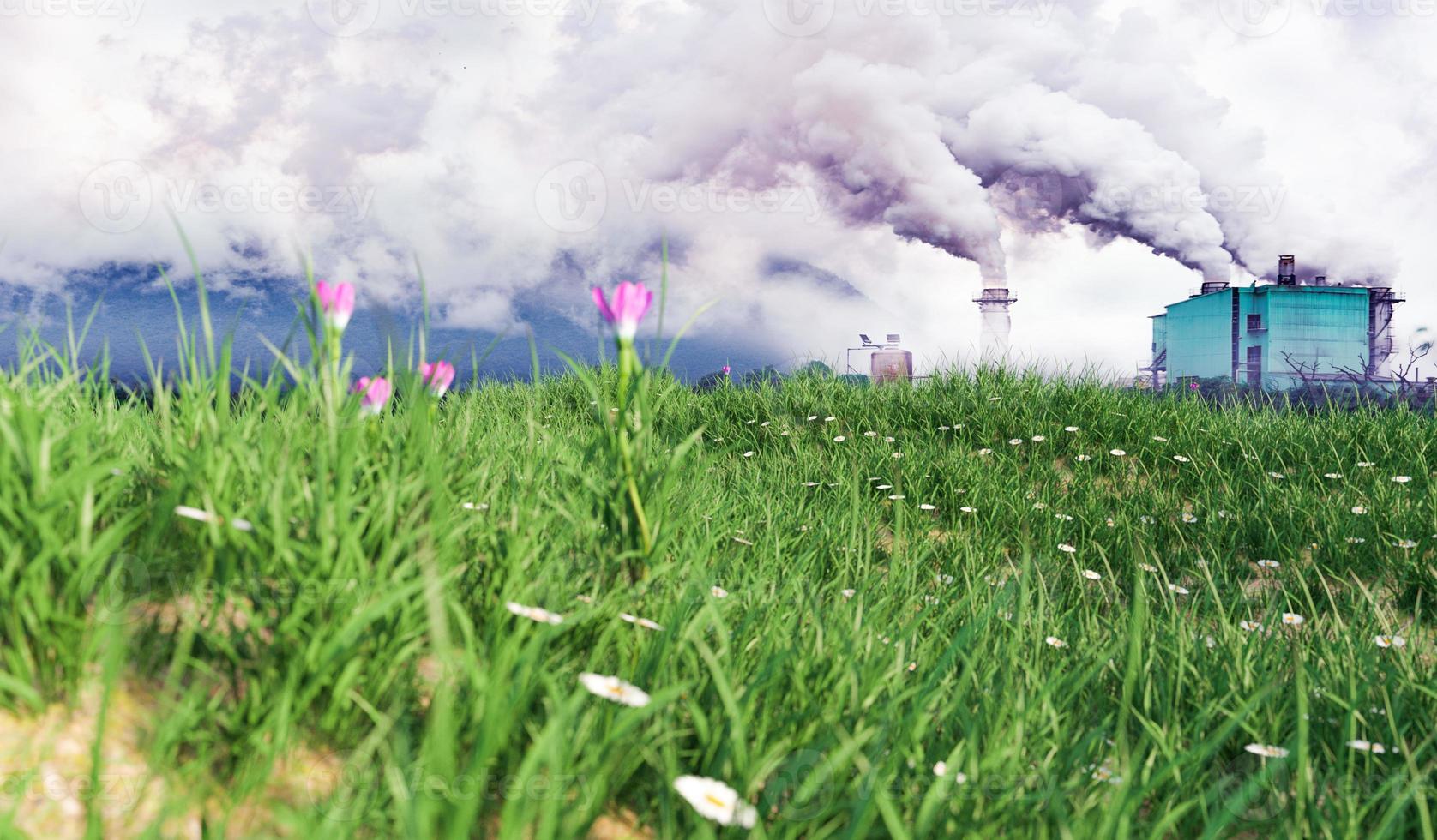 comparación de la contaminación del aire y la fábrica con el campo de hierba verde con el concepto de flores, seguridad ambiental y protección de la tierra foto