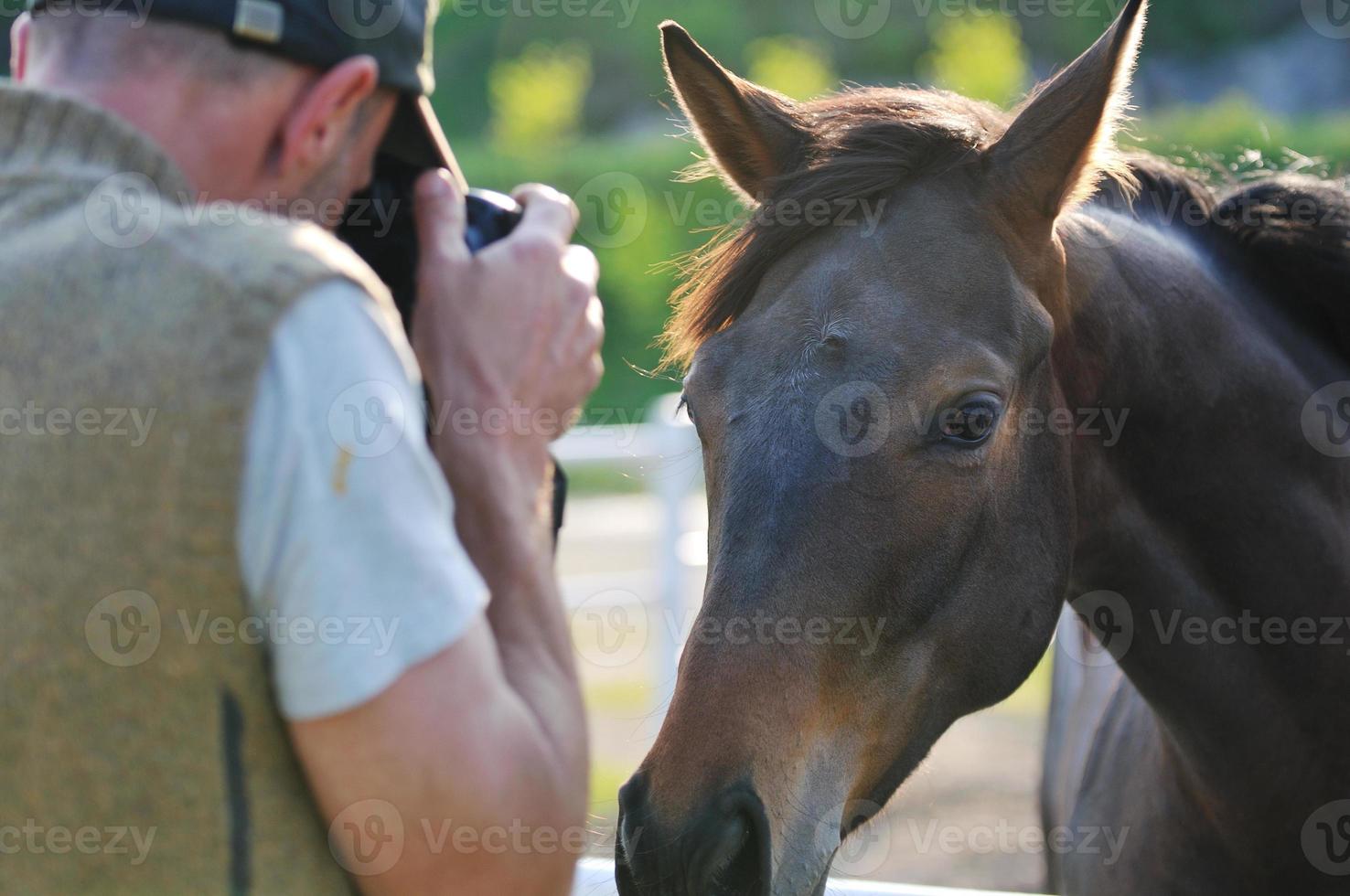 fotógrafo y caballo foto