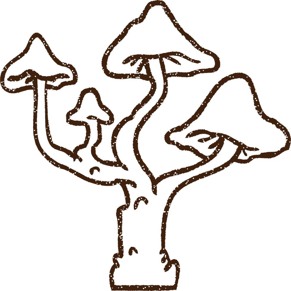 Mushrooms Charcoal Drawing vector