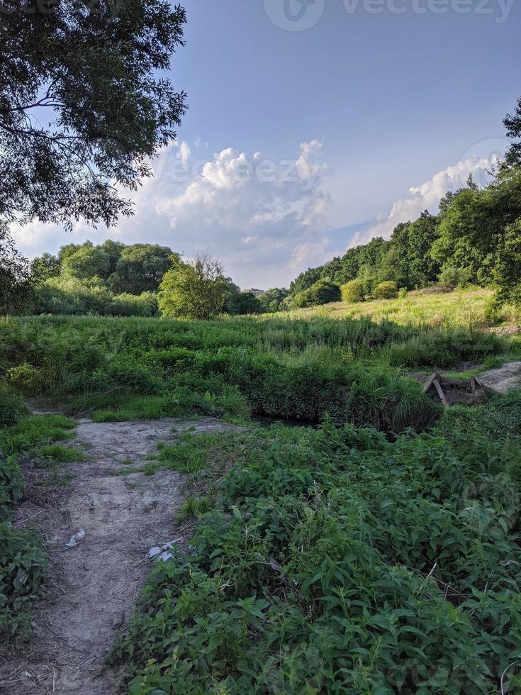 Nature, forests, parks and flowers. photo