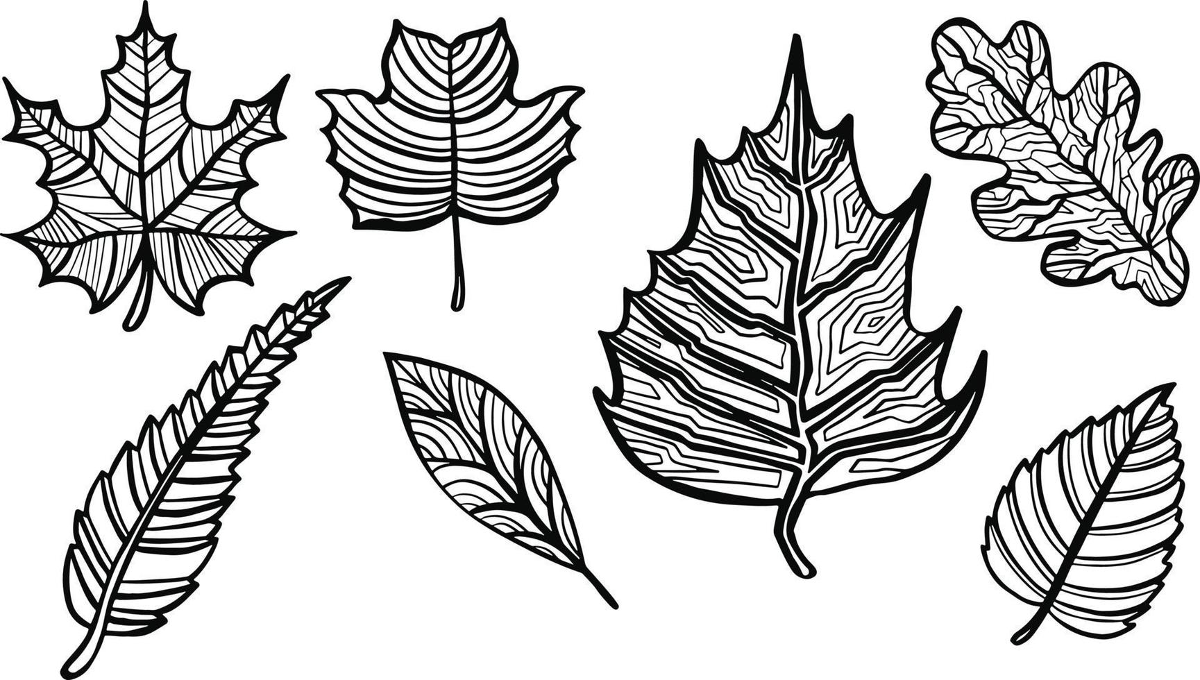 patrón de hojas de otoño, fondo transparente e ilustración vector