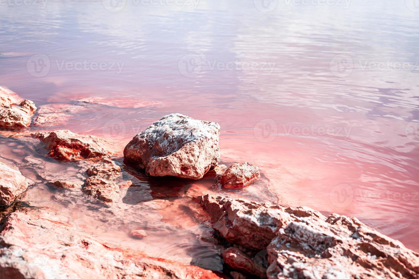 lago rosa de torrevieja en alicante, españa foto