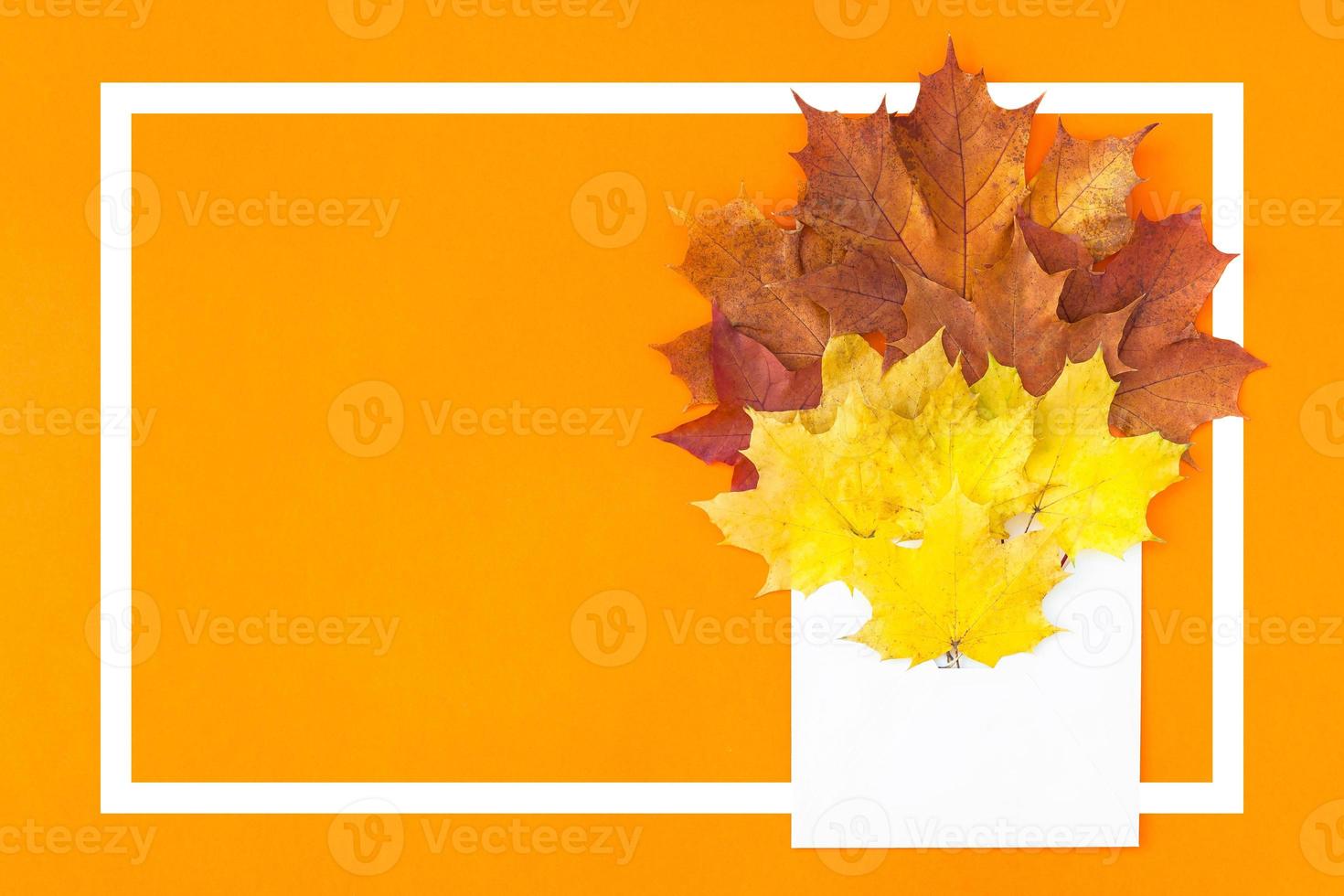 Autumn leaves in paper envelope mockup photo