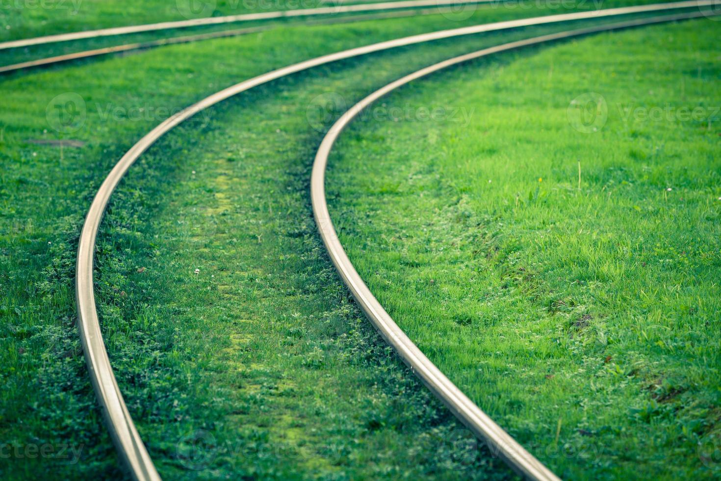 Tram rails covered with green grass photo