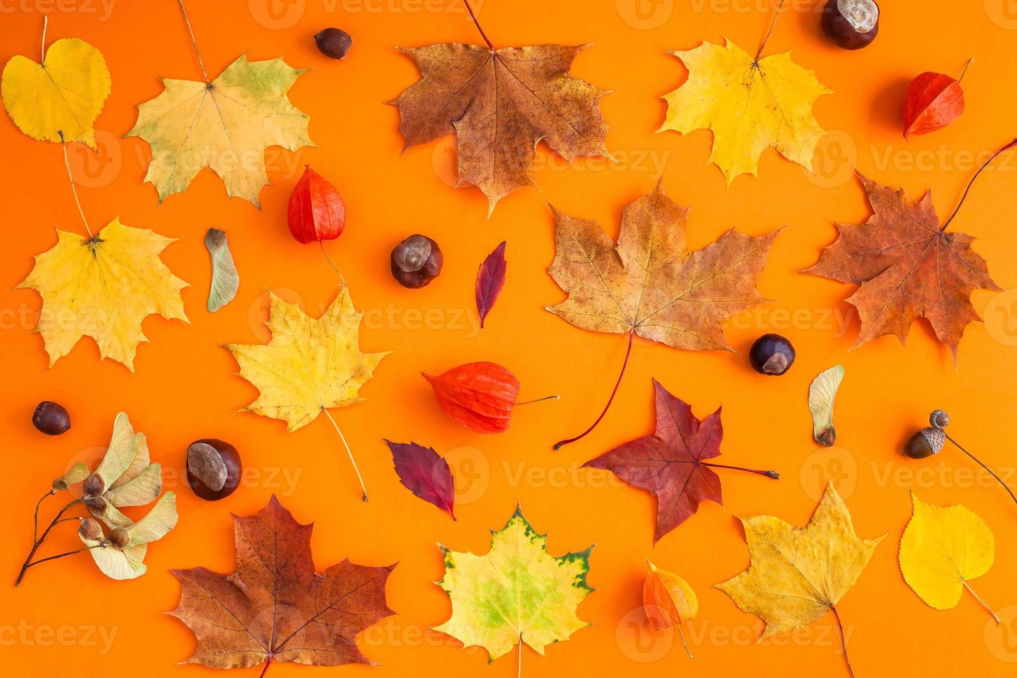Dry autumn leaves as a frame template photo