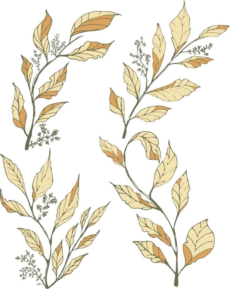 Hand drawn vector leaves and Flower  elements collection. vector Illustration of Floral botanical flower isolated on white background