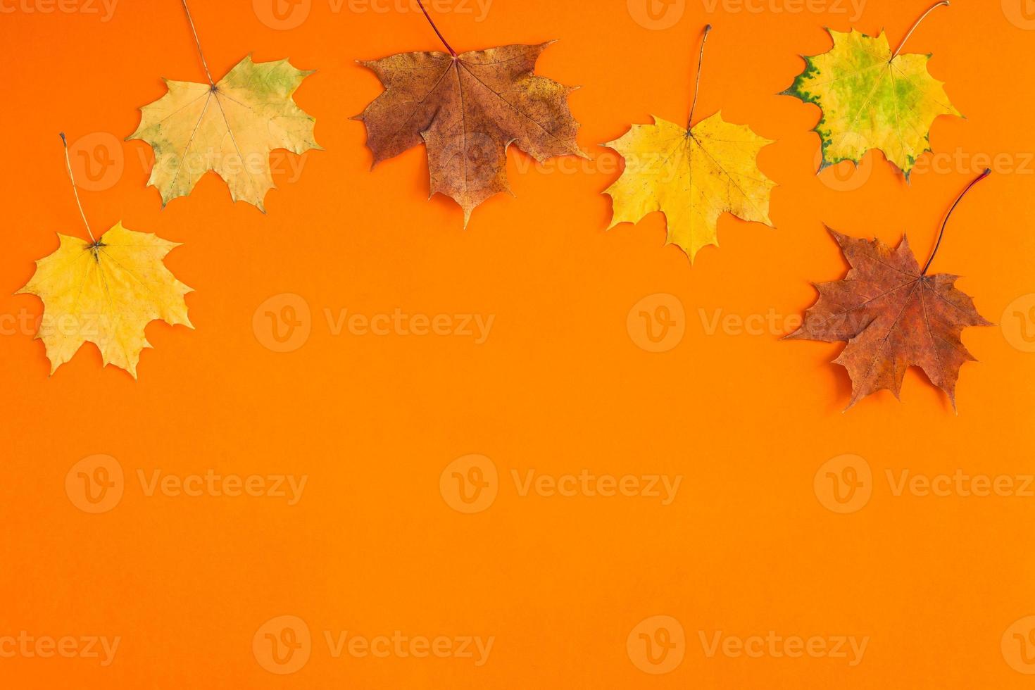 hojas secas de otoño como plantilla de marco foto