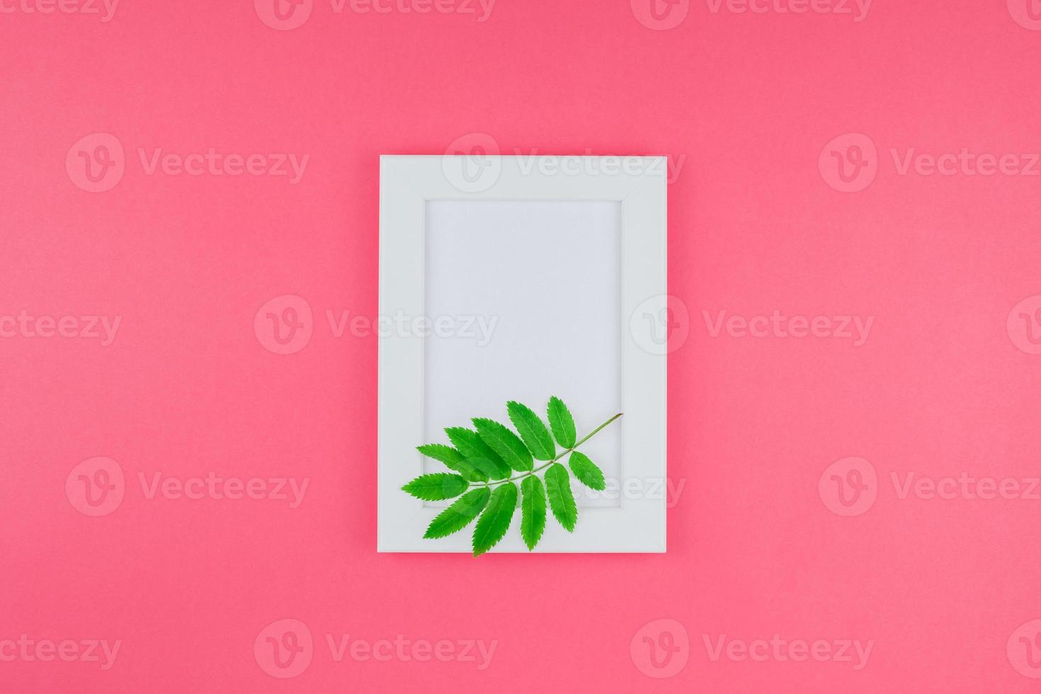 maqueta de marco con hojas verdes frescas foto