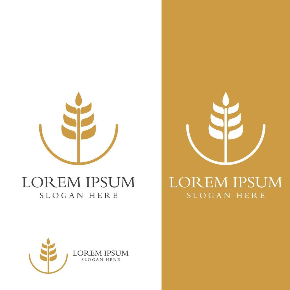 Wheat or cereal logo, wheat field and wheat farm logo.With easy and simple editing illustrations. vector