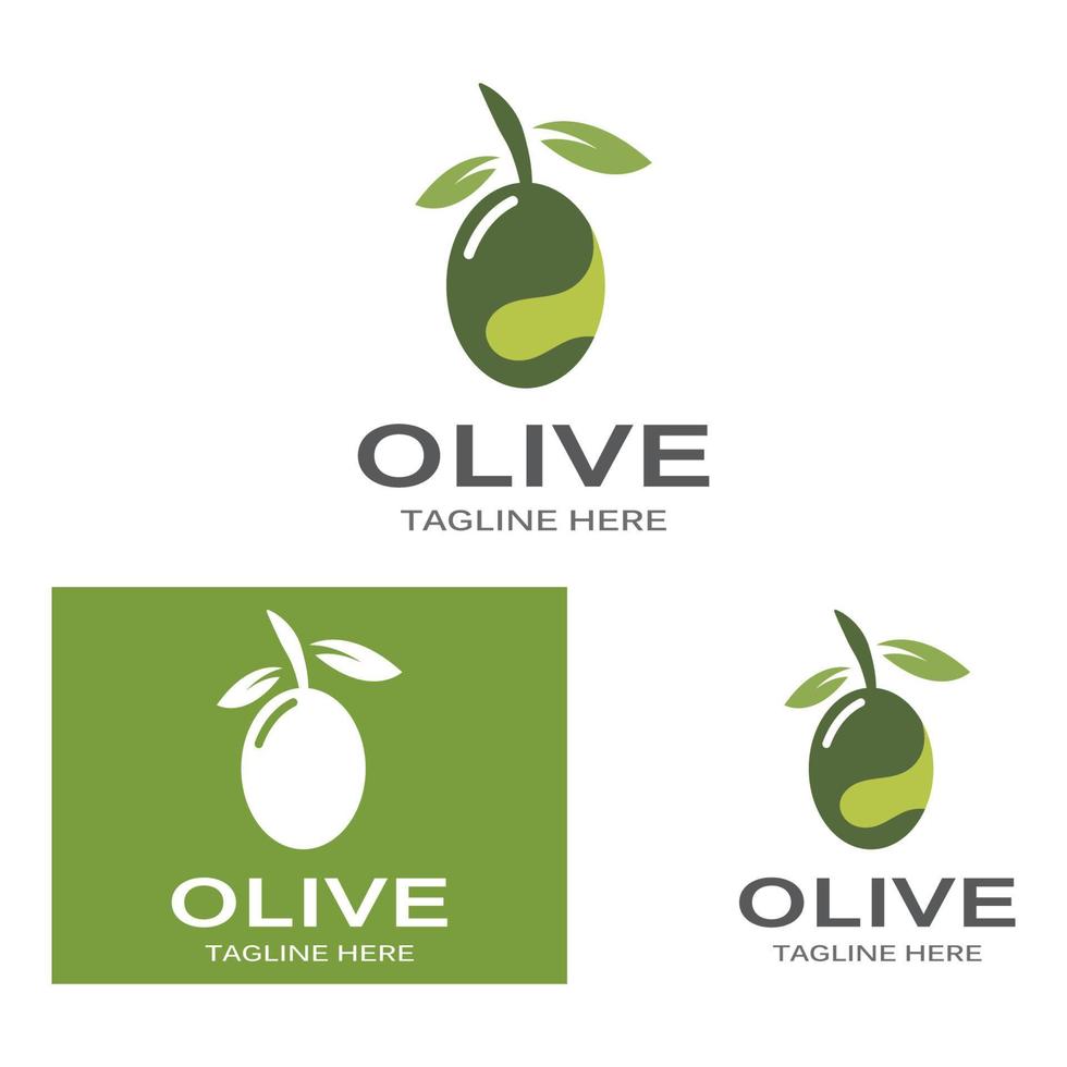 Olive oil logo nature vector