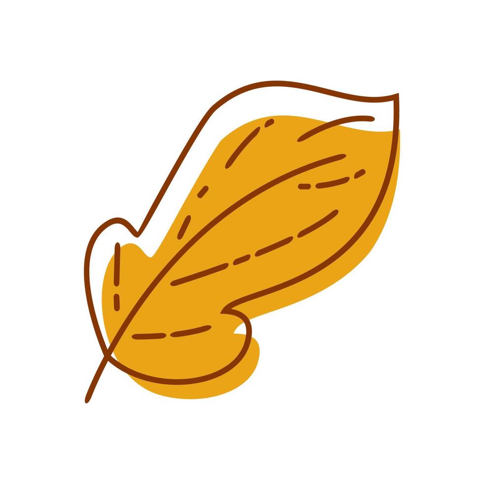 asthetic leaf with outline vector