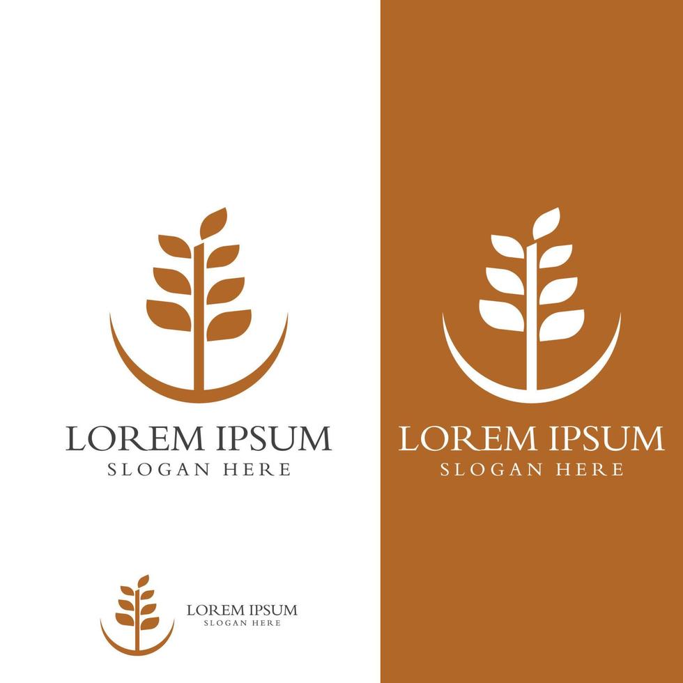 Wheat or cereal logo, wheat field and wheat farm logo.With easy and simple editing illustrations. vector