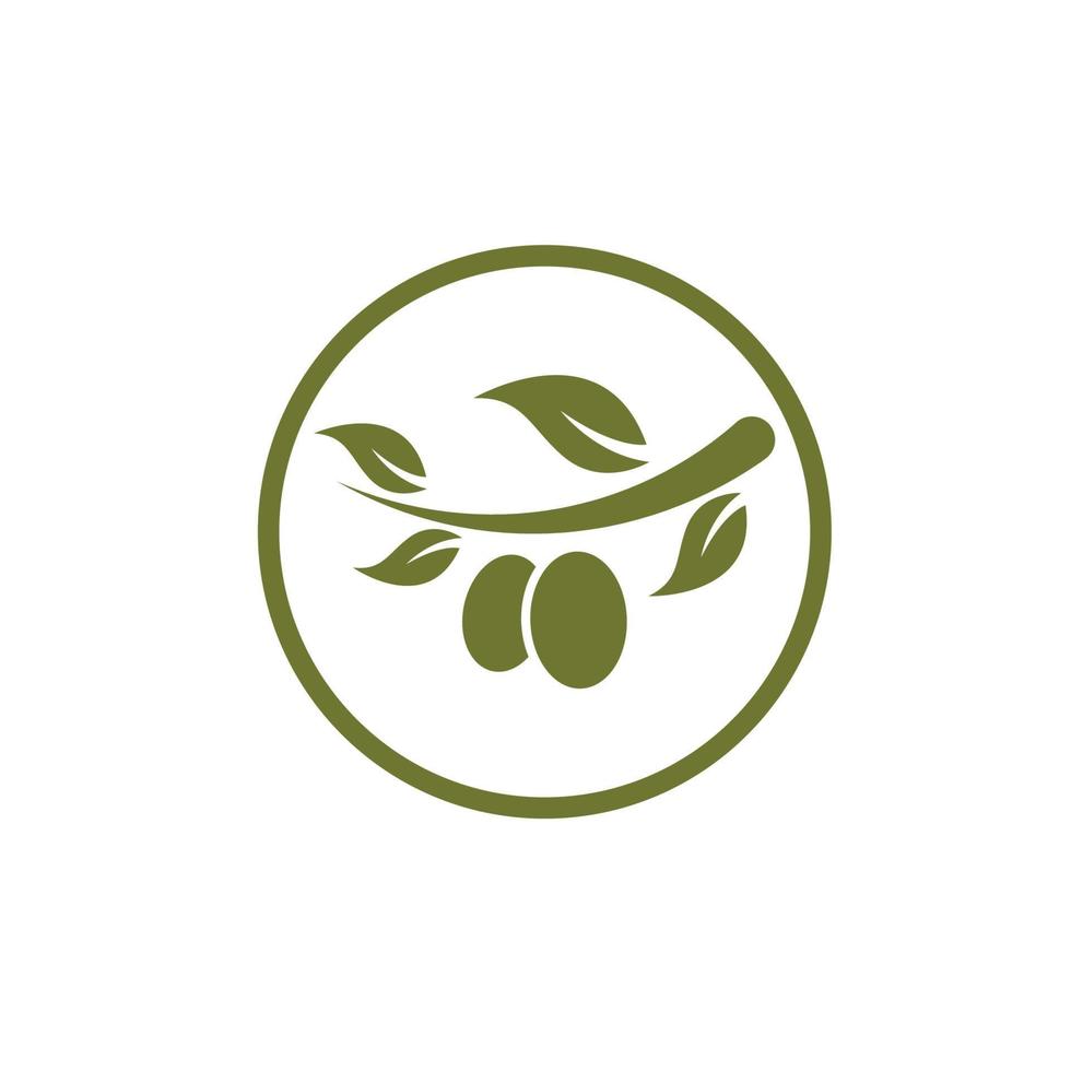 Olive tree vector illustration