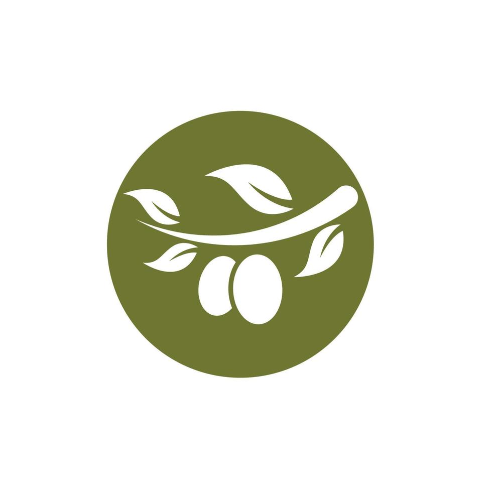 Olive tree vector illustration