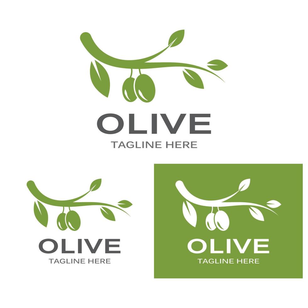 Olive oil logo nature vector