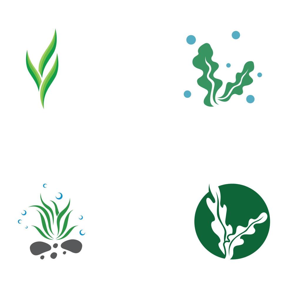 Seaweed logo with template illustration vector design.