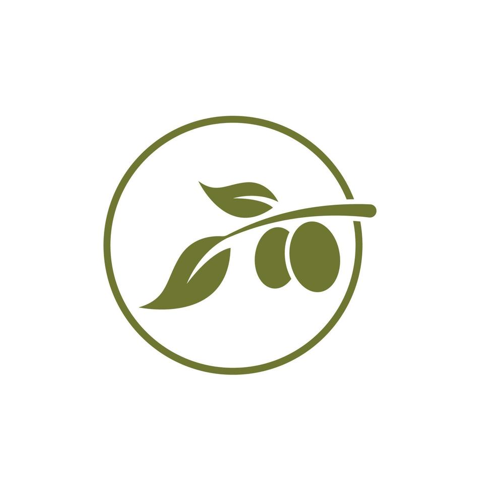 Olive tree vector illustration