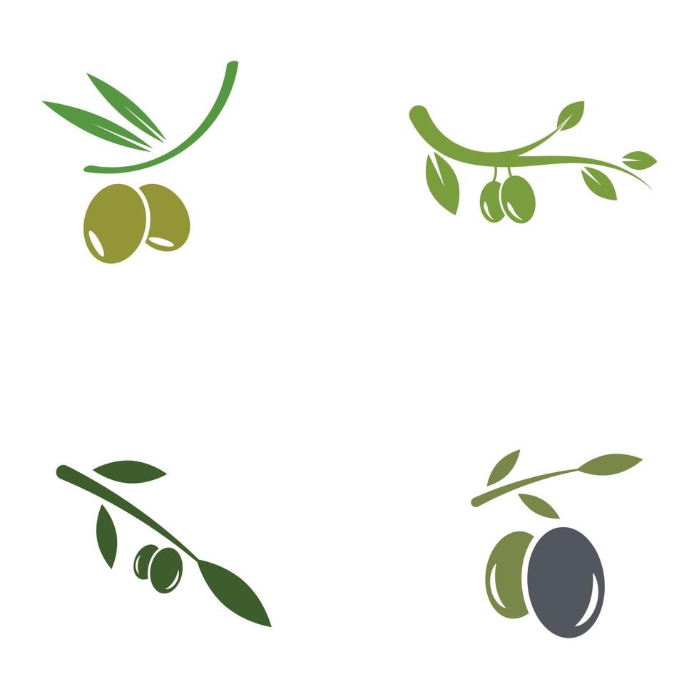 aceite de oliva logo naturaleza vector