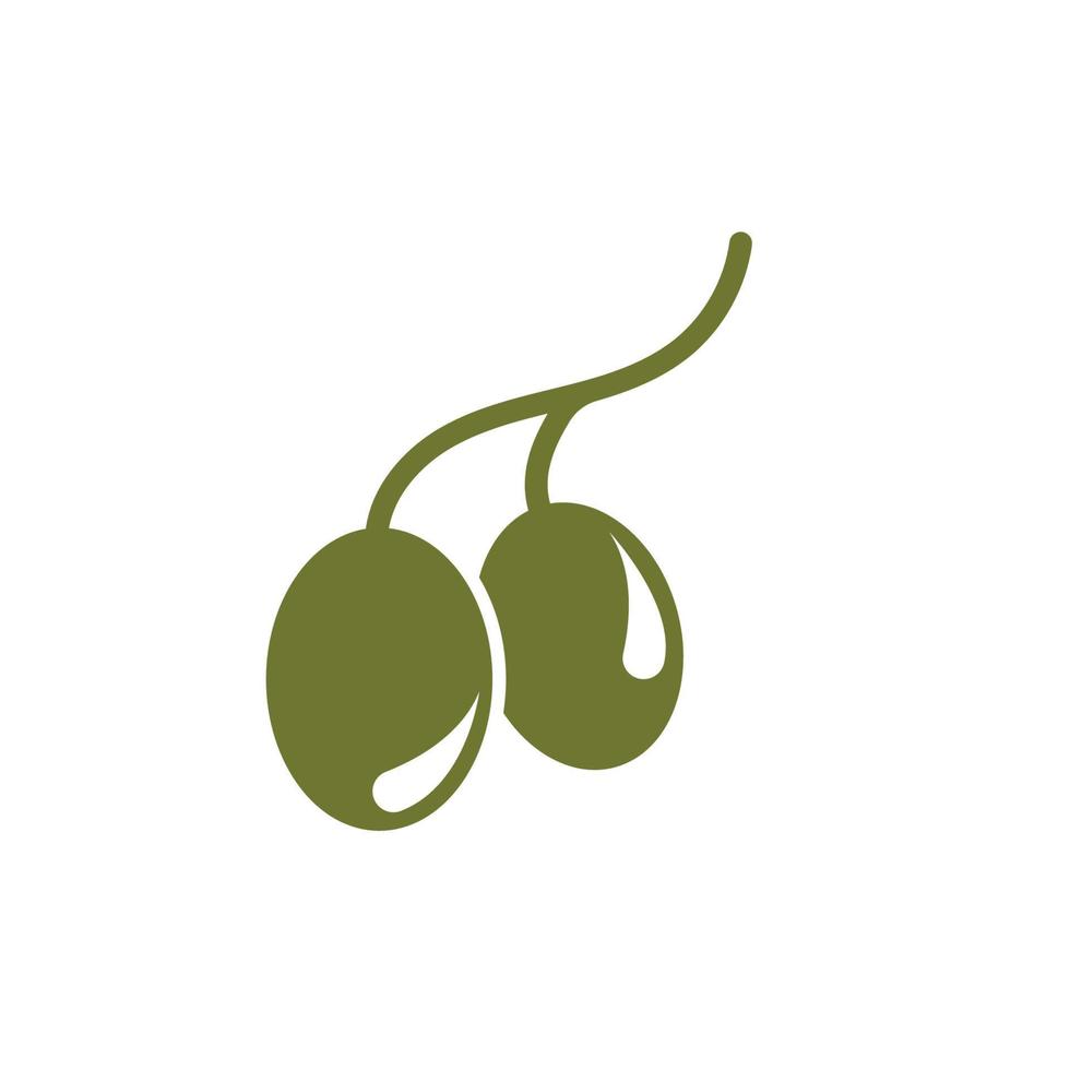 Olive tree vector illustration