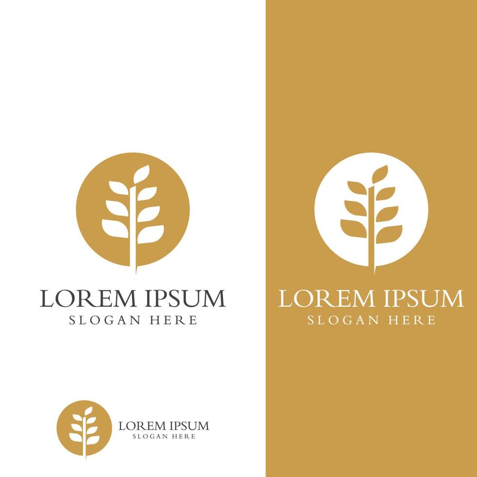 Wheat or cereal logo, wheat field and wheat farm logo.With easy and simple editing illustrations. vector