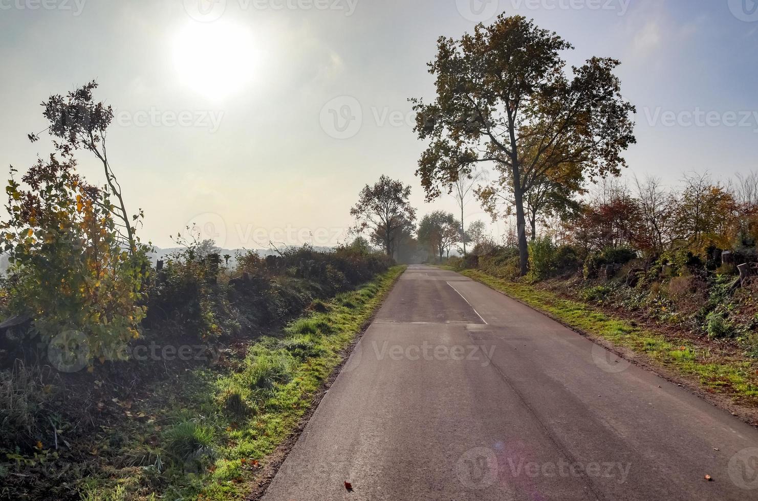 hermosa vista de caminos rurales con bosques y árboles en el norte de europa foto
